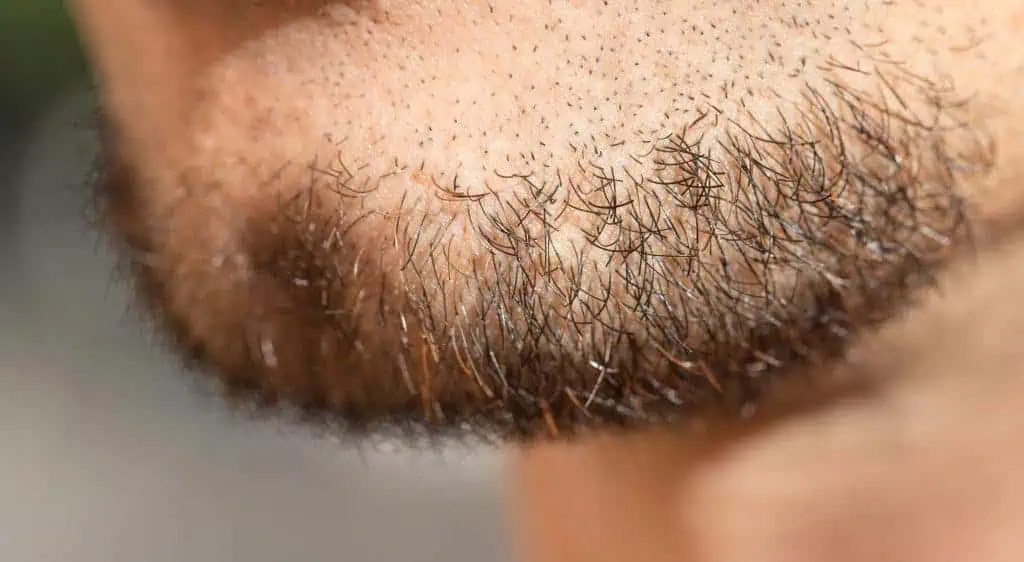 hair on a man's beard. close
